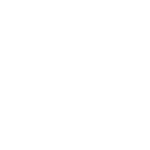 Logotipos Dinamica v2-06
