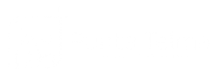Punta Telma Logo v2-WHITE